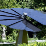 Smartflower_FondRose