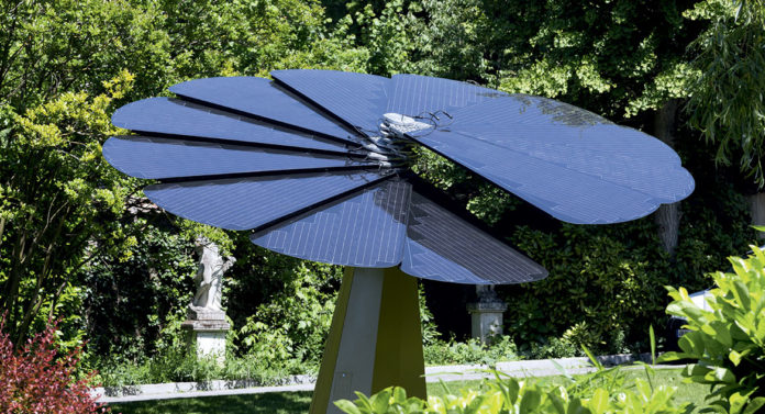 Smartflower_FondRose