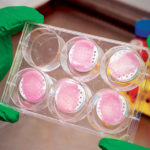 Poietis-bioprinted-skin-models