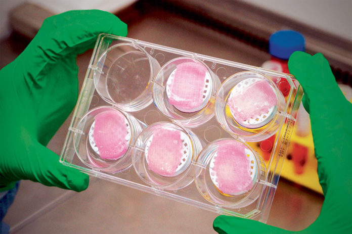 Poietis-bioprinted-skin-models