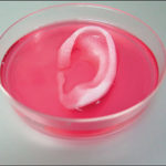 cartilage-d&rsquo;oreille-3D-print-Universite-de-Wake-Forest