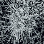 nanoarbresZnO
