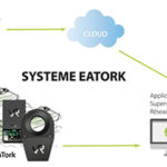 schema-eatork-vaperail